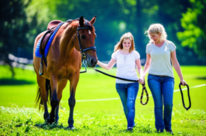 Centaur Stride: Therapeutic Riding Transforms Lives in Chautauqua County
